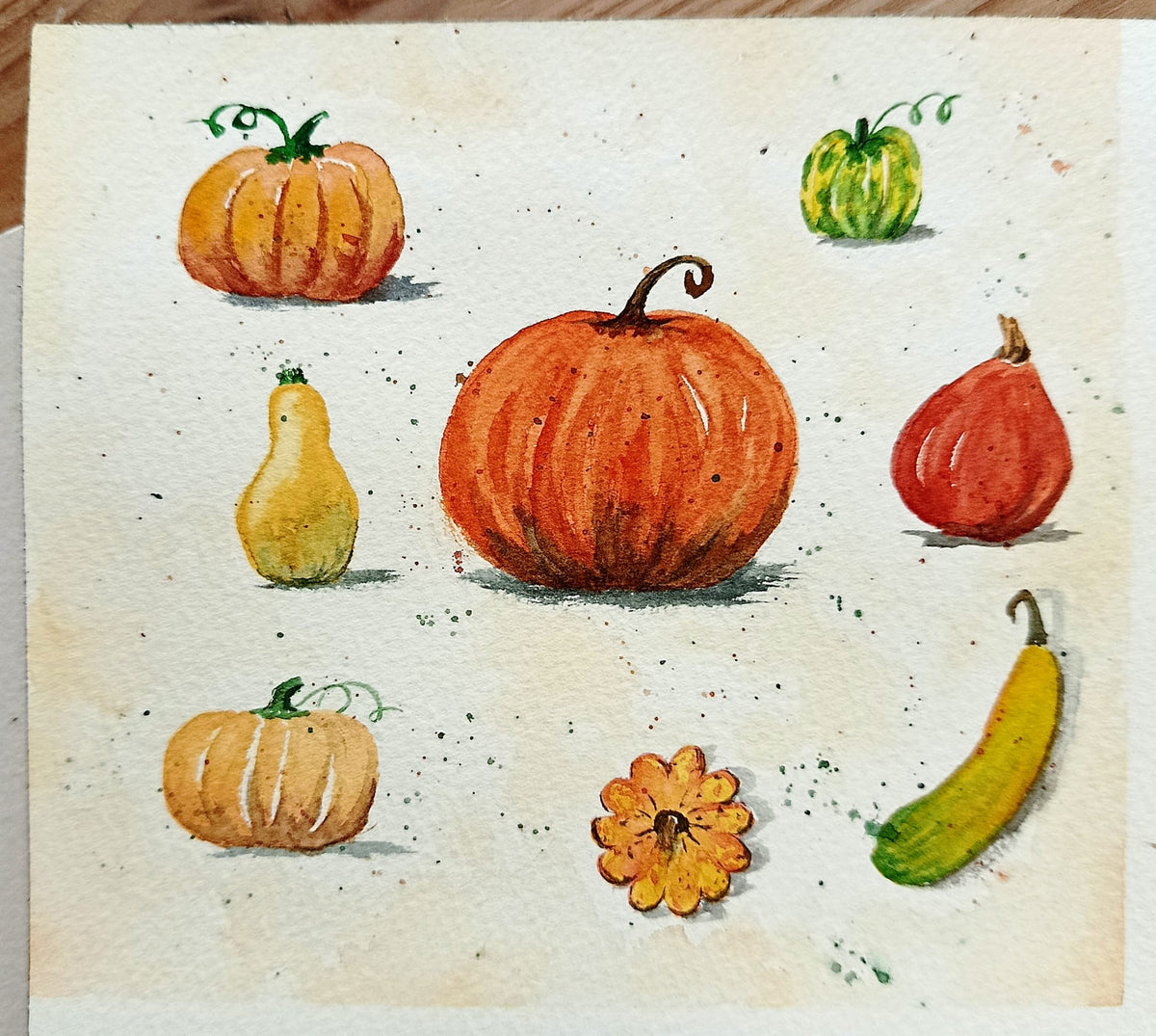Samedi 17 octobre | Aquarelle « l'automne et ses cucurbitacées » (acompte)
