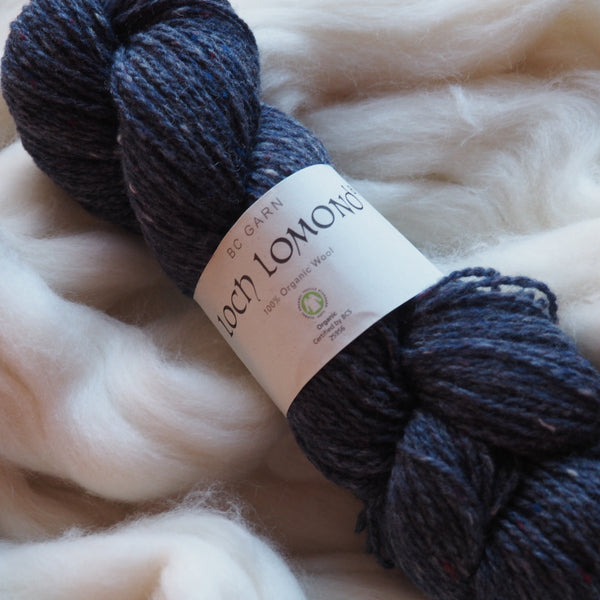 Laine, bleu denim chiné - Loch Lomond bio | 50 gr