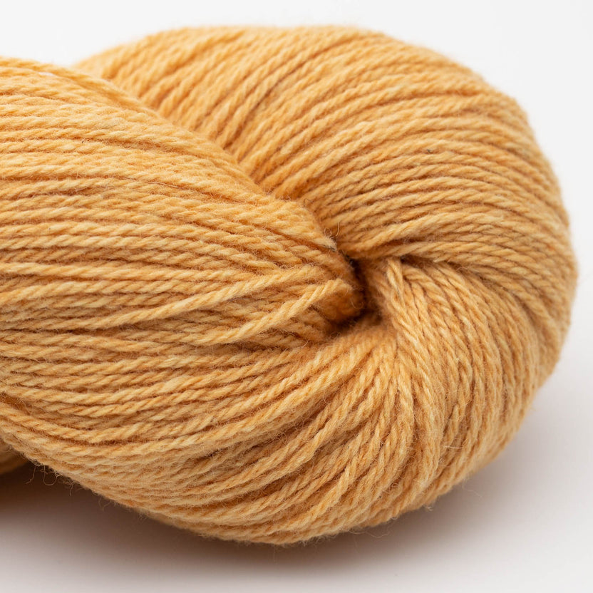"Bio Balance" - Laine & coton bio | 50 gr