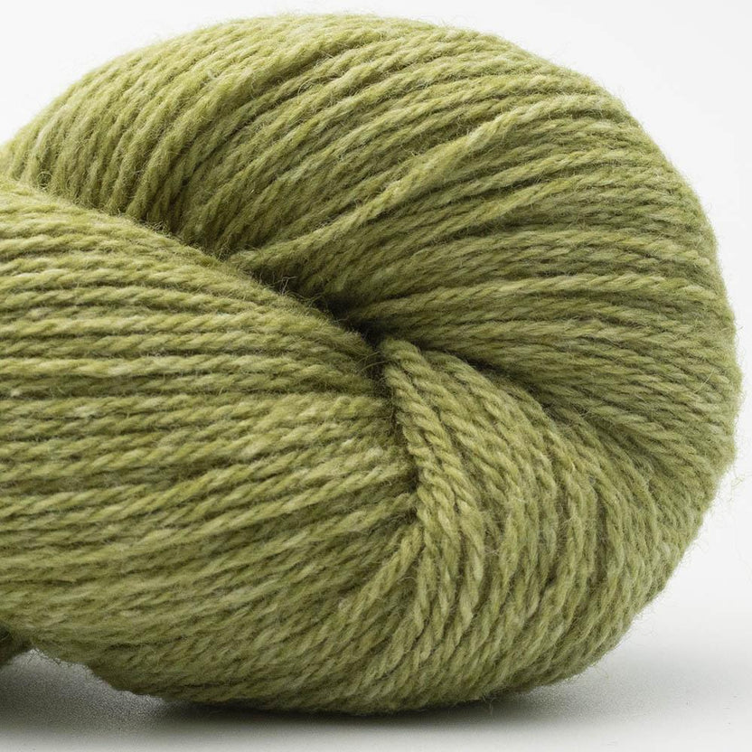 "Bio Balance" - Laine & coton bio | 50 gr