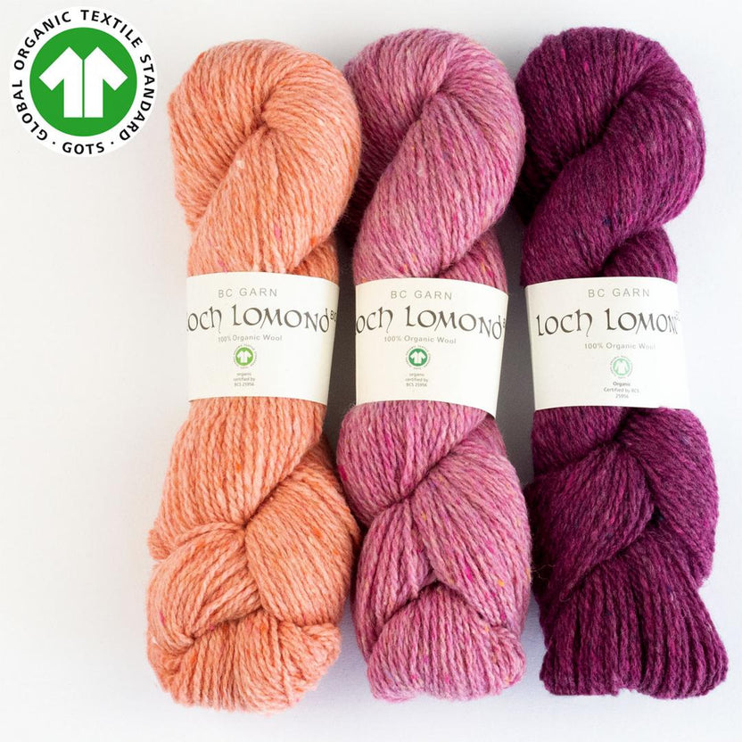 Pelote de laine Loch Lomond, laine biologique certifiée GOTS, Atelier-53