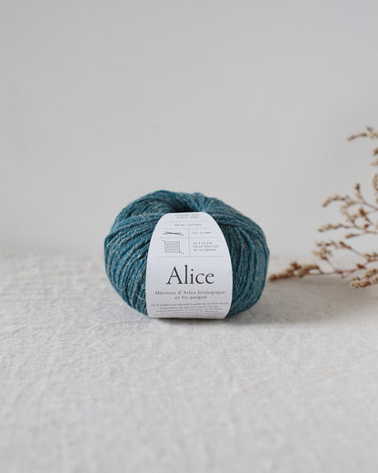 "Alice" - Mérinos d'Arles bio & lin | 50 gr