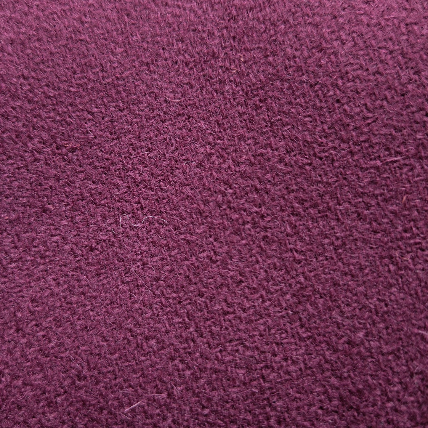 -20% ! Lainage, "prune" | 10 cm