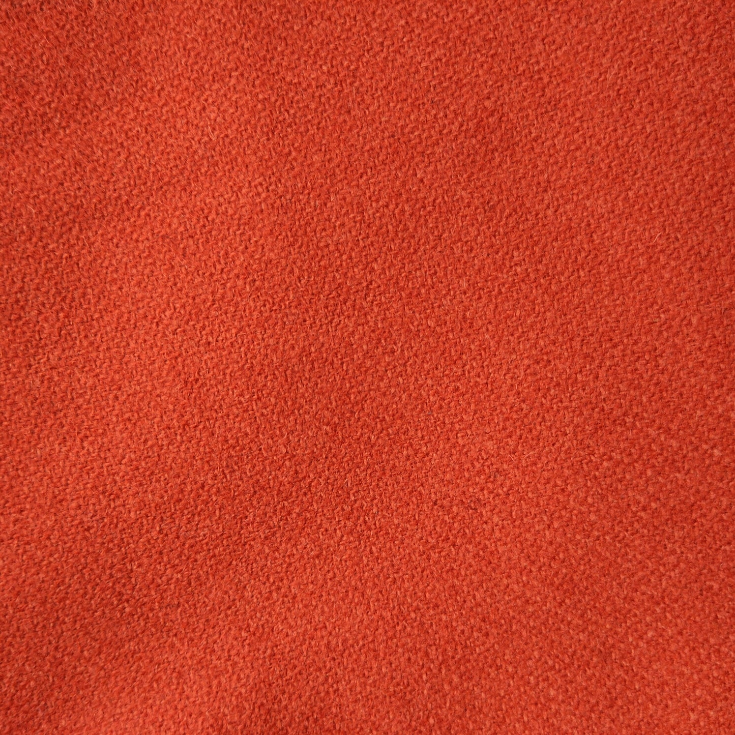 -20% ! Lainage, "potimarron" | 10 cm