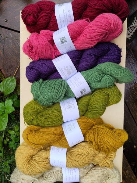 Laine 'Chaussette' ultra locale, tanaisie + indigo - Sous le Noyer | 100 gr