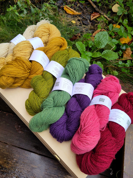 Laine 'Chaussette' ultra locale, tanaisie + indigo - Sous le Noyer | 100 gr