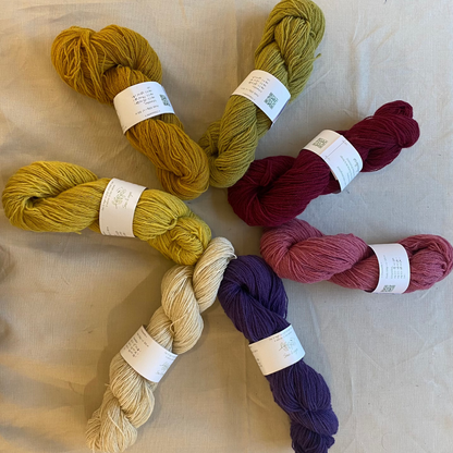 'Chaussette' - Laine texel & mergelland ultra locale | 100 gr