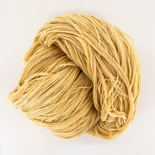 Kit de teinture végétale - Châtaigner