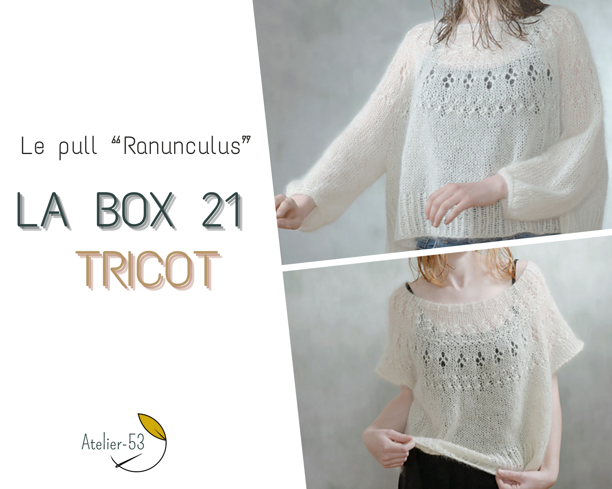 LA BOX 21 - 'Tricot', le pull 'Ranunculus'