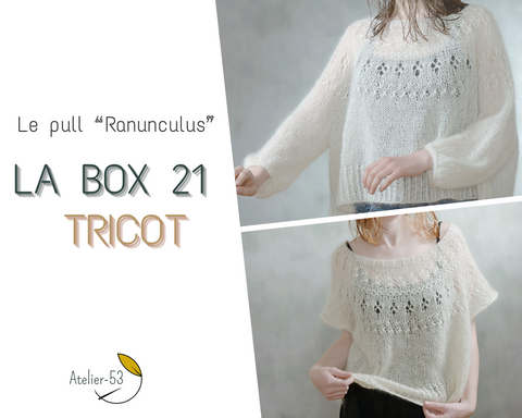 LA BOX 21 - 'Tricot', le pull 'Ranunculus'