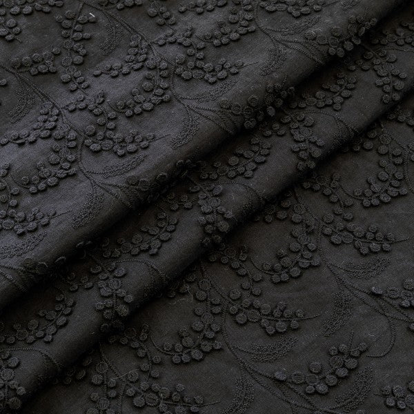 Dentelle noire, 'mimosa' | 10 cm