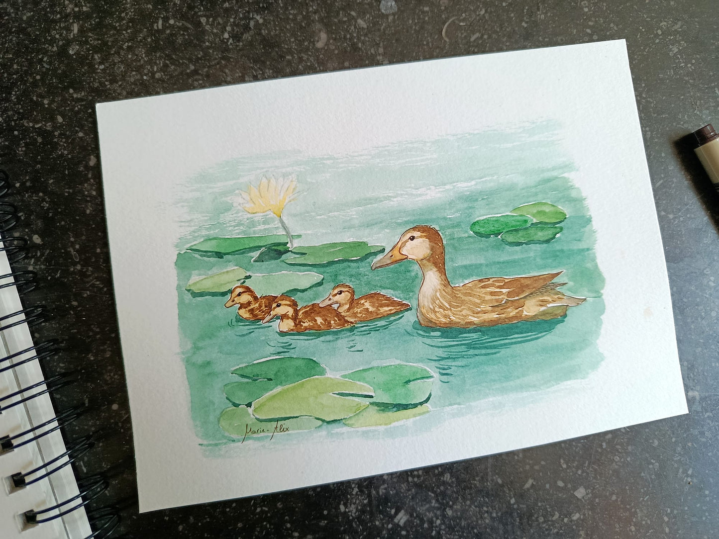 Samedi 25 juillet | Aquarelle « nénuphars » (acompte)
