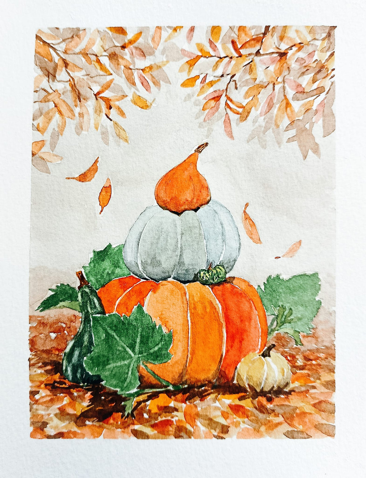 Samedi 17 octobre | Aquarelle « l'automne et ses cucurbitacées » (acompte)