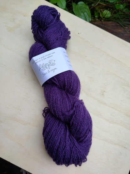 'Chaussette' - Laine texel & mergelland ultra locale | 100 gr