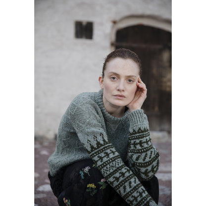 Modèles en jacquard du livre Tricot nordique II