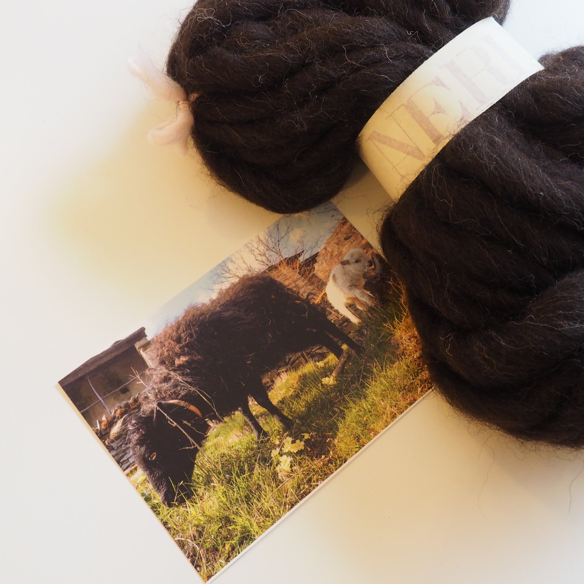 Prix rond  | Laine - JUMBO "Nerina" | 100 gr