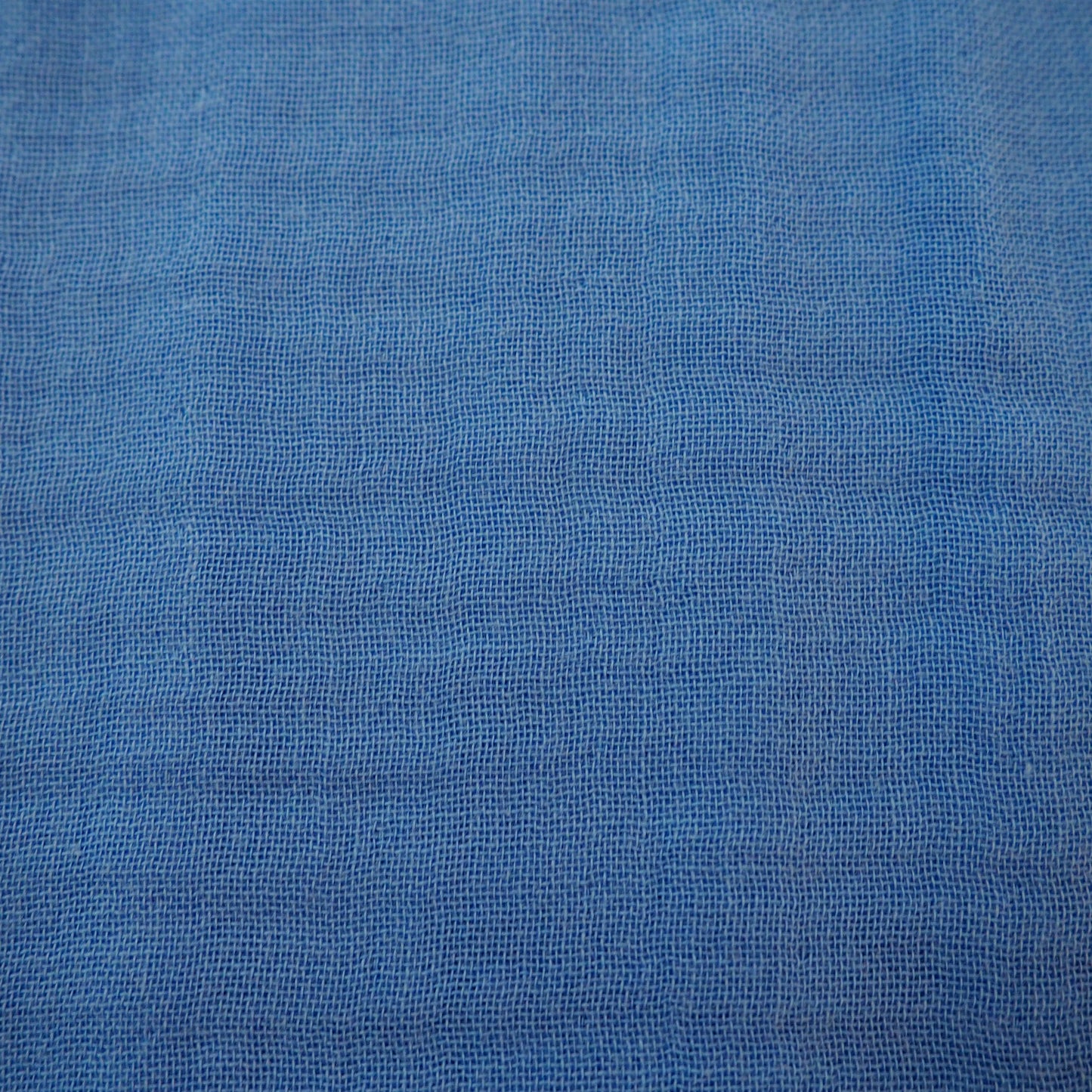 Double-gaze bleu | 10 cm