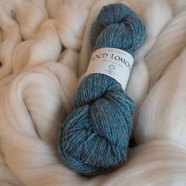 Laine, bleu chiné - Loch Lomond bio | 50 gr