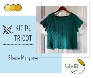 Kit de tricot (confirmé) - Blouse Mangrove de Trust the Mojo