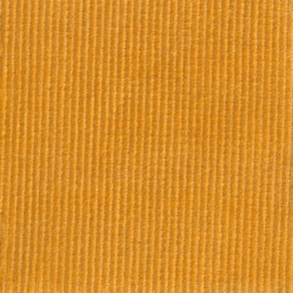Velours milleraies moutarde | 10 cm