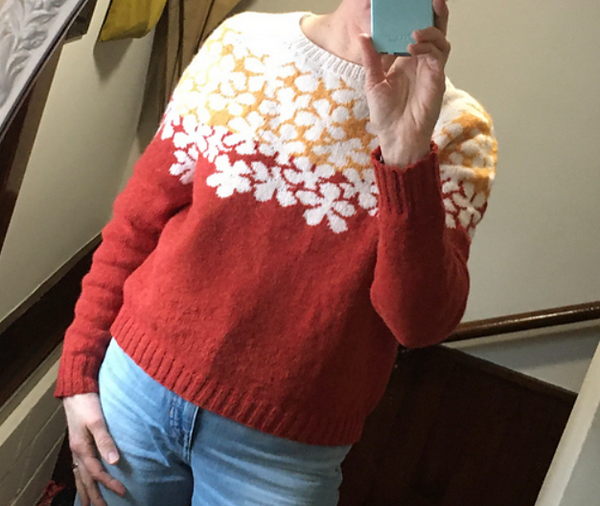 Kit de tricot (confirmé) - Pull Drawing Sweater