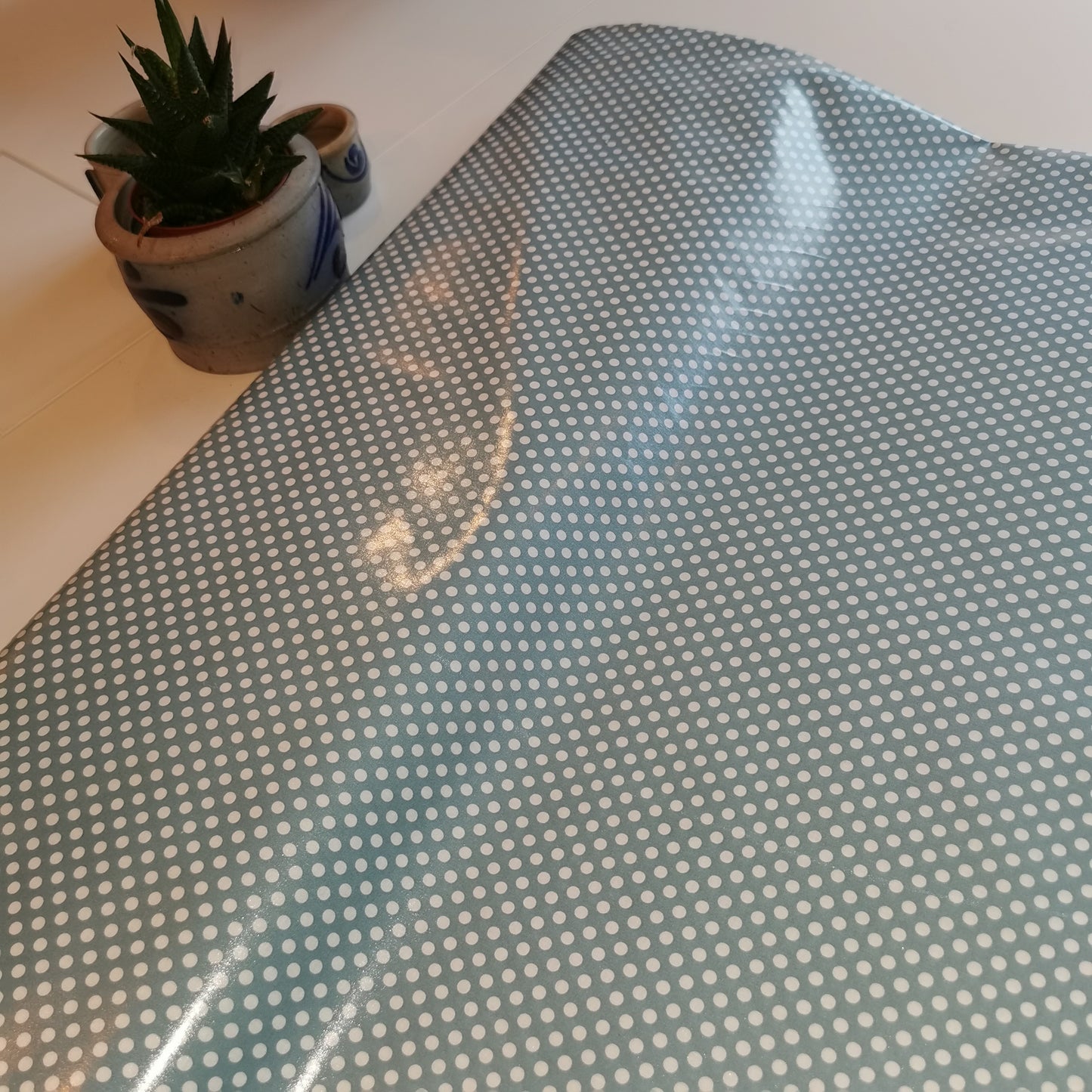 PUL/Coton bio laminé bleu "Pois" | 10 cm