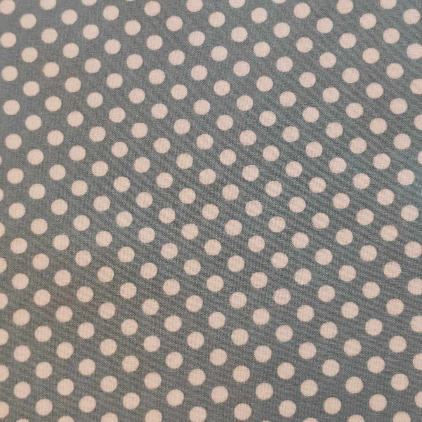 PUL/Coton bio laminé bleu "Pois" | 10 cm